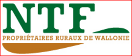 20170317 logo NTF