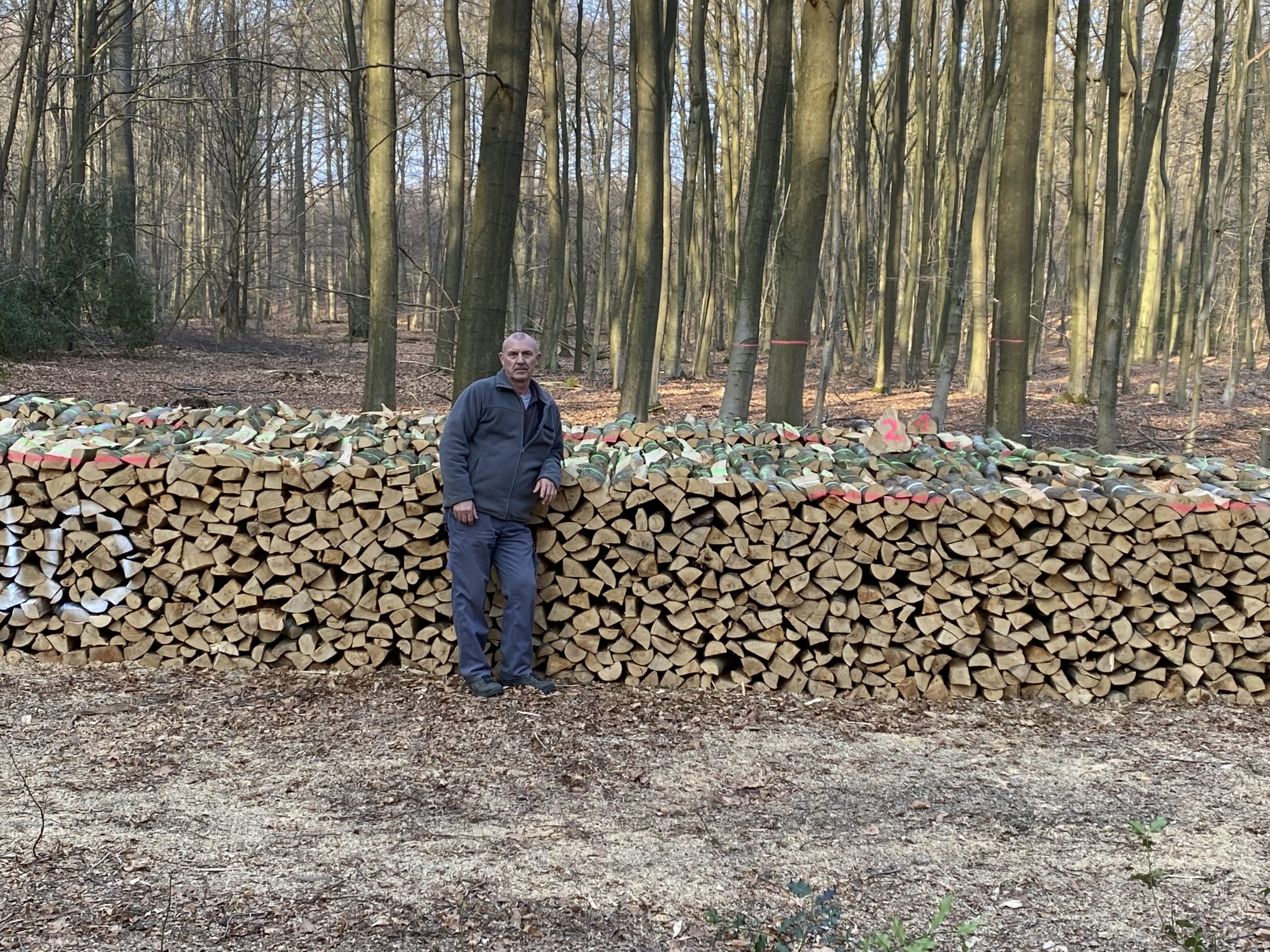 Vente de bois de chauffage en mètres et en bûches dans le Hainaut